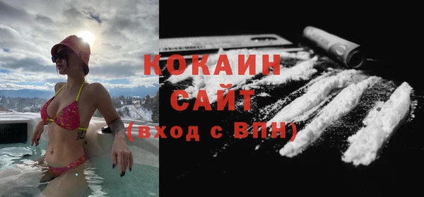трава Магас