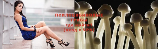 бутират Майский