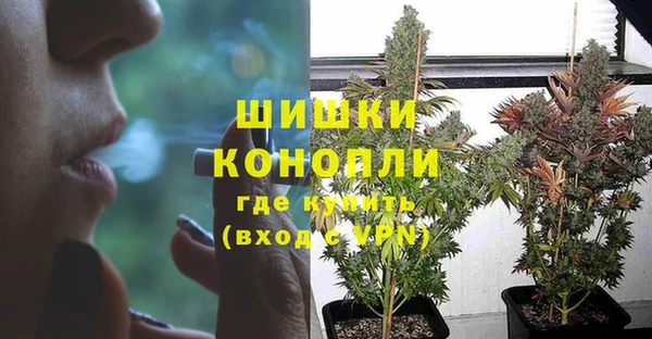 трава Магас