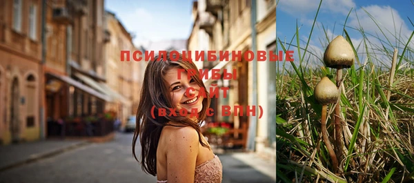 бутират Майский