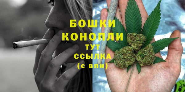 трава Магас