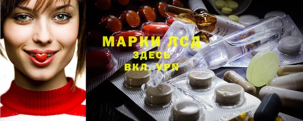 трава Магас