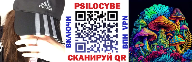 Псилоцибиновые грибы прущие грибы Сусуман