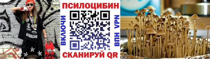Галлюциногенные грибы Psilocybe  Сусуман 